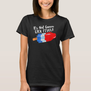 Camiseta Não vai se ferrar 4 de julho de Celebração