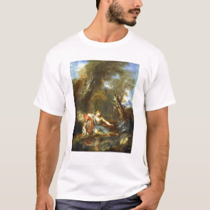 Camiseta Narciso, 1728