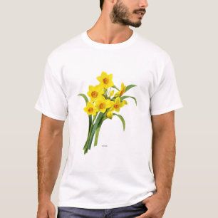 Camiseta Narciso (N Tazetta)