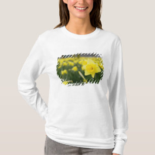 Camiseta Narcisos (RF)