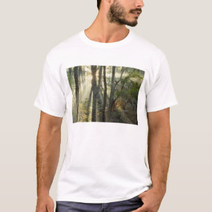 Camiseta Nascer do sol através da floresta de carvalho e no
