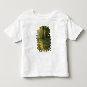 Camiseta Nascer do sol através da floresta de carvalho e no