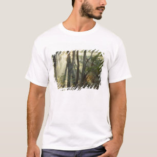 Camiseta Nascer do sol através da floresta de carvalho e no