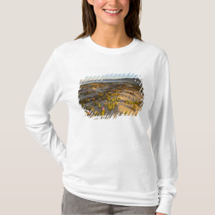 Camiseta Nascer do sol ilumina as dunas de areia e a figuei
