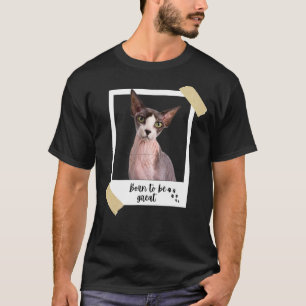 Camiseta Nascer Este Excelente De Gato Esfingx E De Gatinho