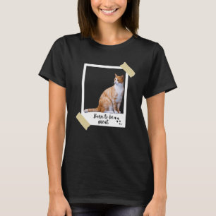 Camiseta Nascido Este Grande Gatinho Laranja Fofo e Animal
