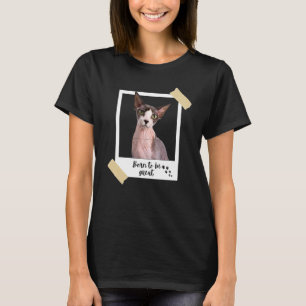 Camiseta Nascido Este Grande Gato Sphynx Fofo E Animal De E