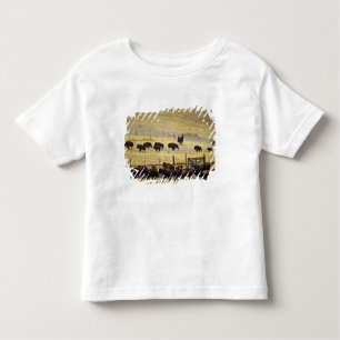 Camiseta National Bison Range Roundup em Montana