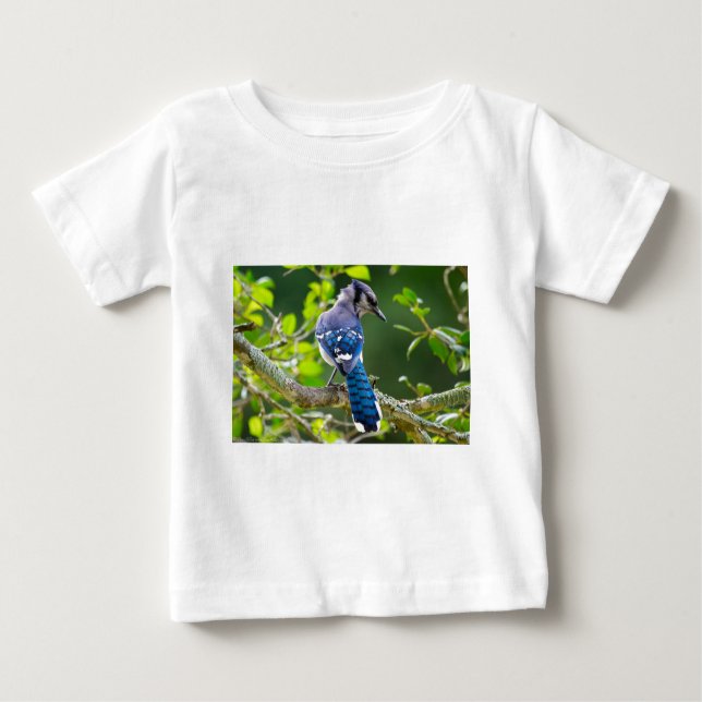 Camiseta Natureza Fotografia Shy Blue Jay Roupa presente (Frente)