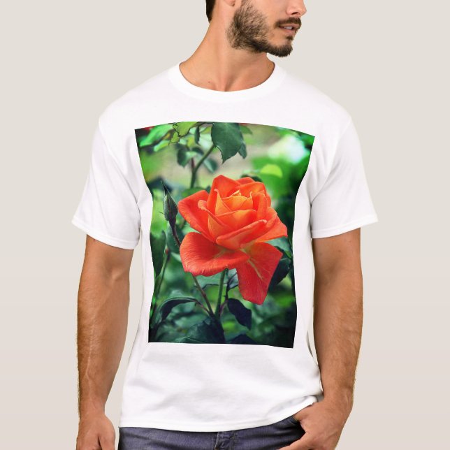 Camiseta Natureza Rosa Rosa Rosa Flor (Frente)