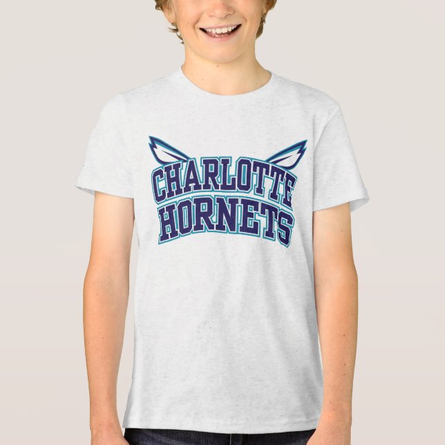 Camiseta NBA Charlotte Hornets de Basquete (Frente)