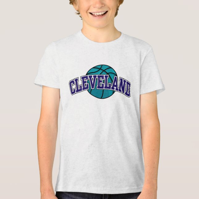 Camiseta NBA Charlotte Hornets de Basquete (Frente)