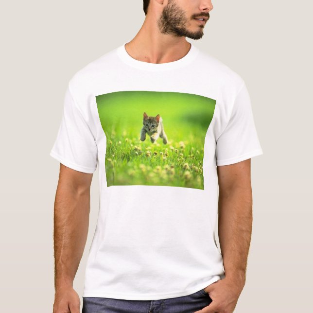 Camiseta neko (Frente)