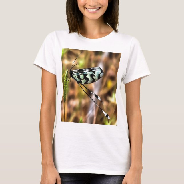Camiseta Nemoptera bipennis Arte Insetada Com Mão (Frente)