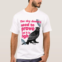 Nenhuma Prova Necessária - Sky Owl