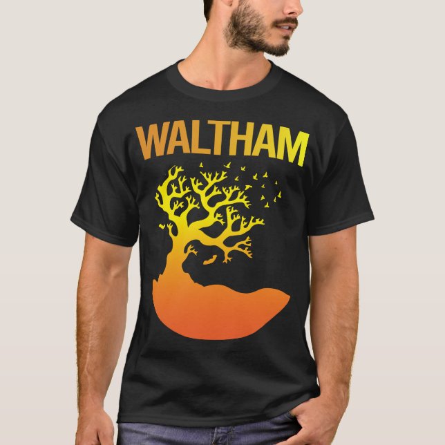 Camiseta Neon Tree - Waltham (Frente)