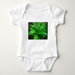 Camiseta Nest Fern de Bird