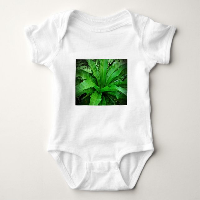 Camiseta Nest Fern de Bird (Frente)