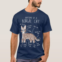 Neve Bengala Gato Selo Lynx Anatomia