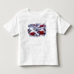 Camiseta Neve em Frutas de Cinza Montanhesa Europeia, Utah.
