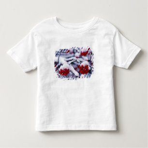 Camiseta Neve na Europa Mountain Ash Berries, Utah.