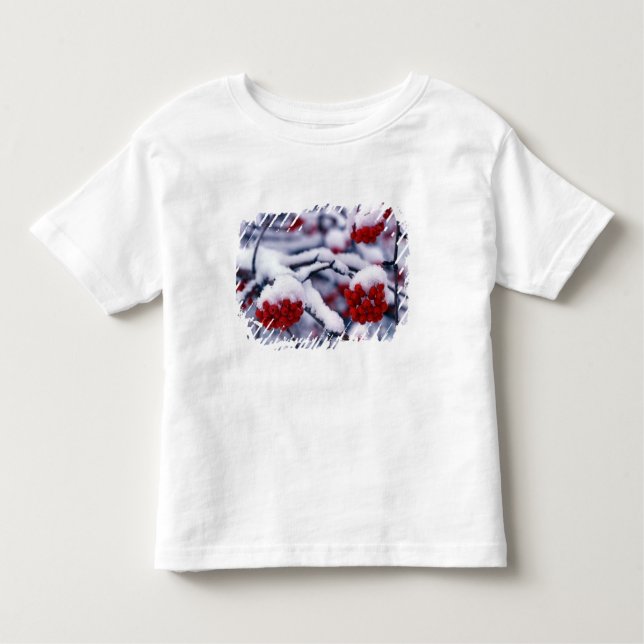 Camiseta Neve na Europa Mountain Ash Berries, Utah. (Frente)