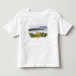 Camiseta Nevoeiro da manhã e os Percy Peaks vistos do