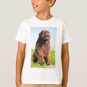 Camiseta newfie sitting.png