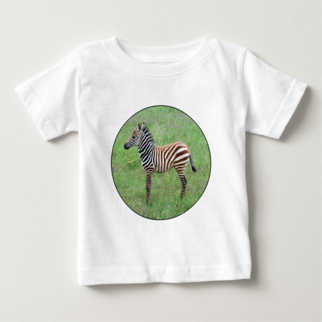 Camiseta Ngorongoro Baby Zebra (Frente)