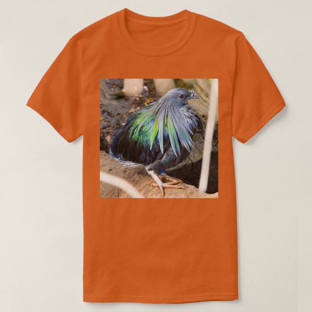 Camiseta Nicobar 4 (Frente do Design)