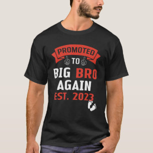 Camiseta Nivelando Para O Big Bro Novamente 2023 Big Brothe