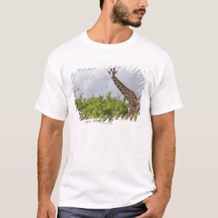 Camiseta No safari em Tanzânia, África. 2