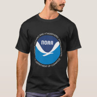 Noaa — Gestão Do Oceano Nacional E Da Atmosfera