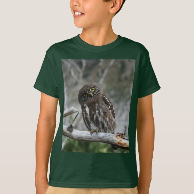 Camiseta Norte Pygmy Owl T Shirt (Frente)