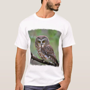 Camiseta Norte Saw-whet Owl