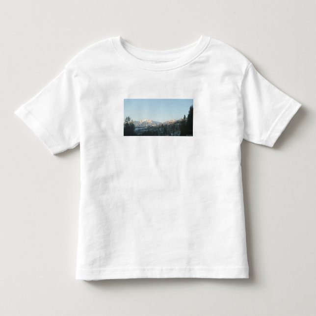 Camiseta Northern Rocky Mountain Forest (Frente)