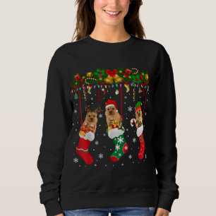 Camiseta Norwich Terrier in Sock Xmas Reindeer Papais noeis