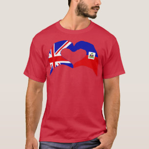 Camiseta Nós Coramos a Séria de Bandeira Multinacional do H