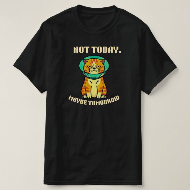 Camiseta Not Today Maybe Tomorrow Funny Grumpy Cat Design (Frente do Design)