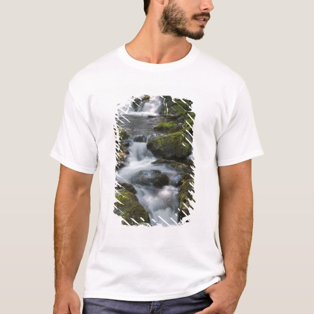 Camiseta Nova Brunswick, Canadá. Dickson Falls em Fundy (Frente)