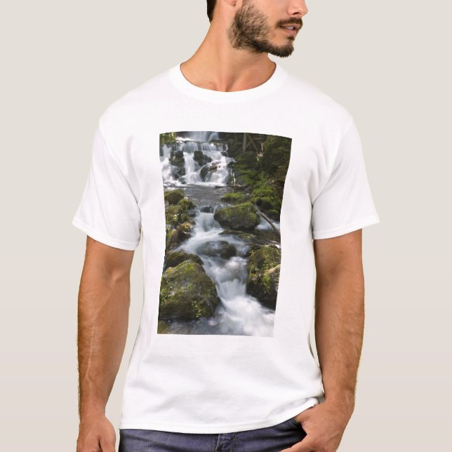 Camiseta Nova Brunswick, Canadá. Dickson Falls em Fundy (Frente)