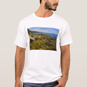 Camiseta Nova Zelândia, Southland, Ilha Stewart. Kelp