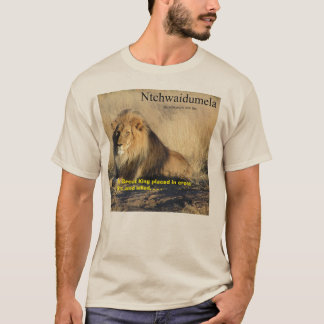 Camiseta Ntchwaidumela