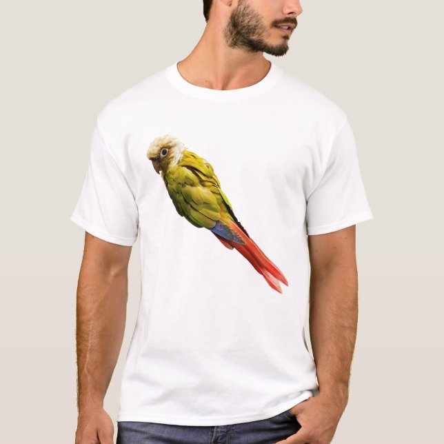 Camiseta Numchoke - o Conure de bochecha verde (Frente)