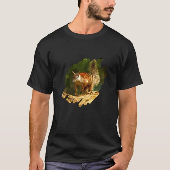 Camiseta Numerar Anteater Premium (Frente)