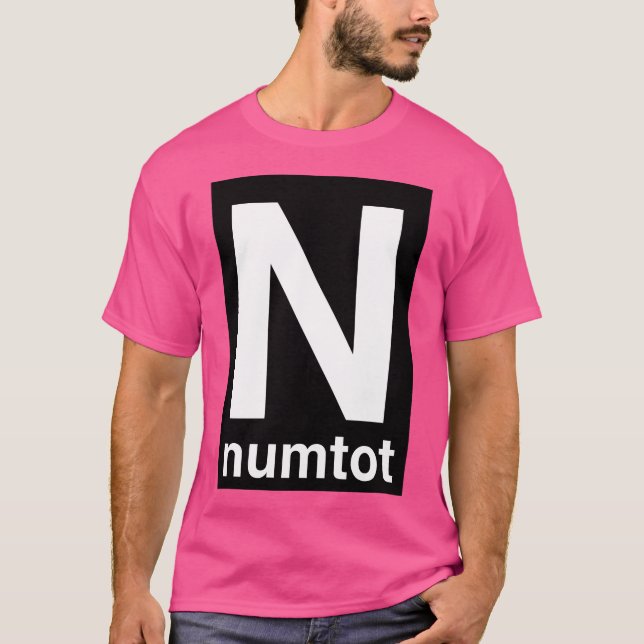 Camiseta Numtot Transit (Frente)