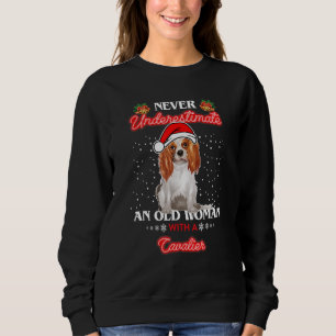 Camiseta Nunca Subestime Uma Idosa Com Um Cavalier