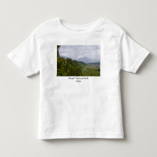 Camiseta Nuvens em Denali