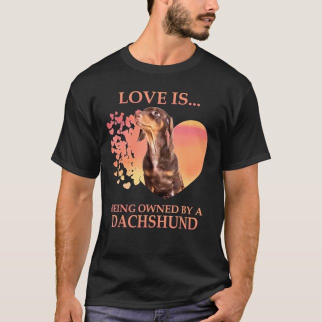 Camiseta O Amor É Propriedade De Um Dachshund (Frente)