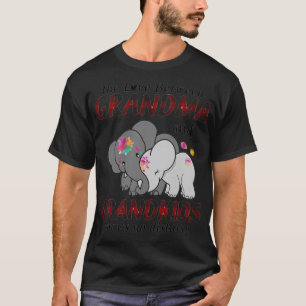 Camiseta O amor entre vovó e Netos bibi e ti